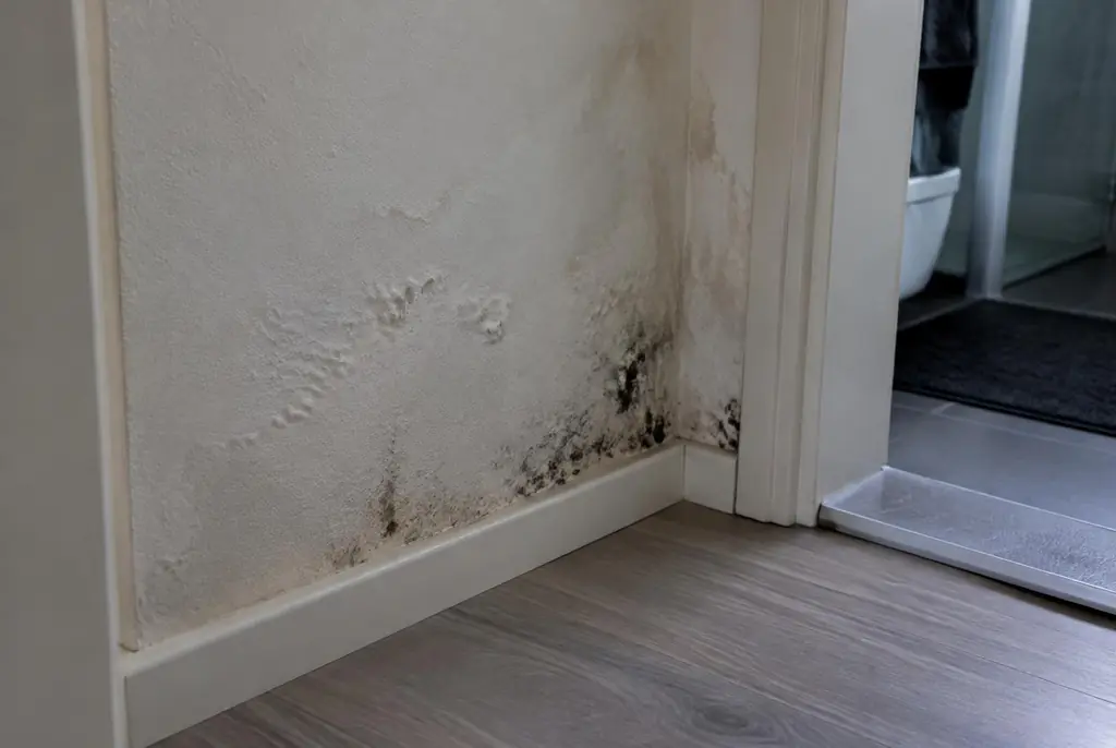 Lekdetectie Badhoevedorp – vochtplek met schimmel op een muur